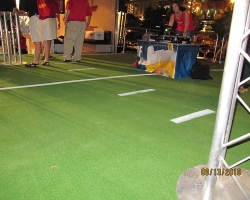 Athletic/Sports Turf