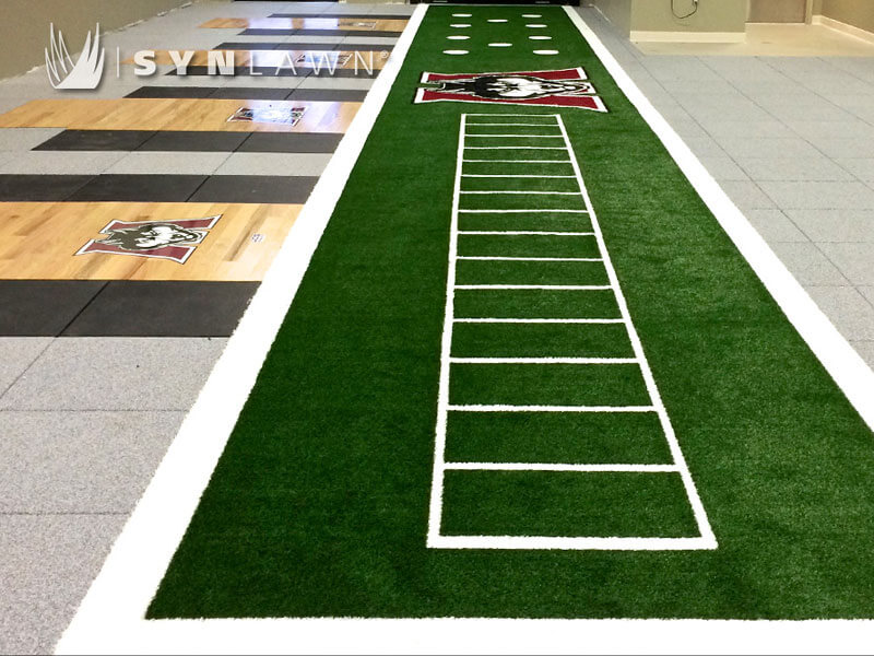 Artificial Grass speed turf from SYNLawn