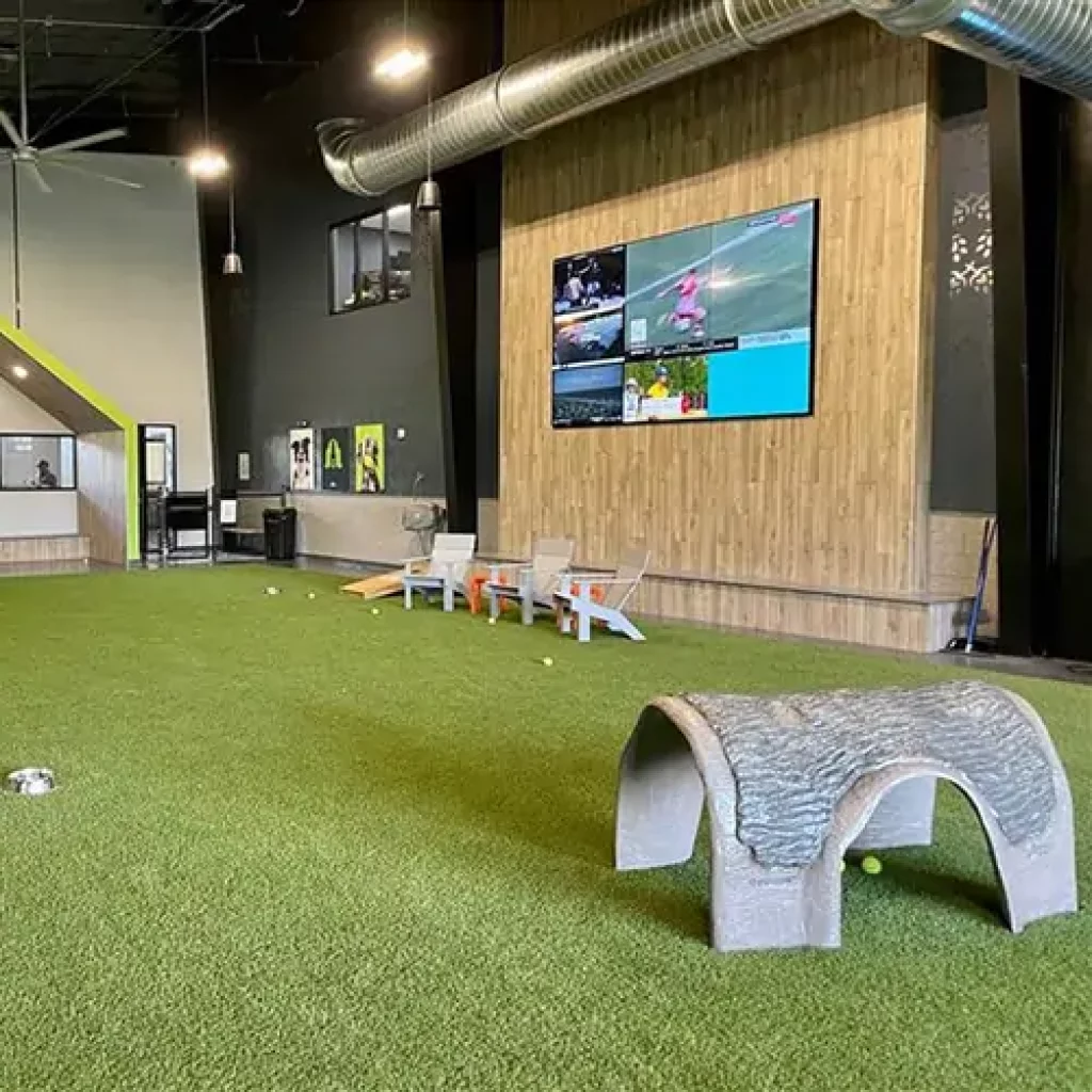 Commercial indoor artificial grass dog park