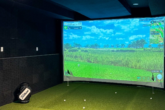 SYNLawn indoor golf simulator